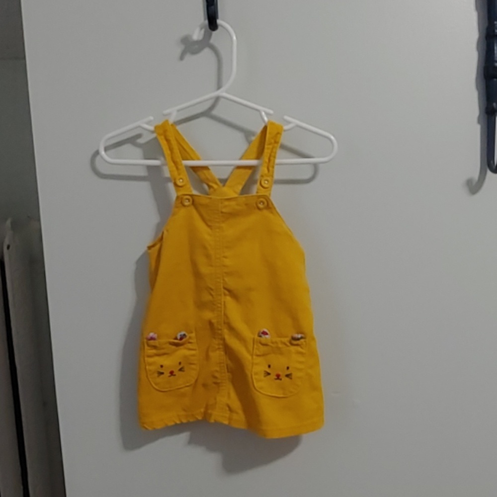 Carter's autumn bunny dress